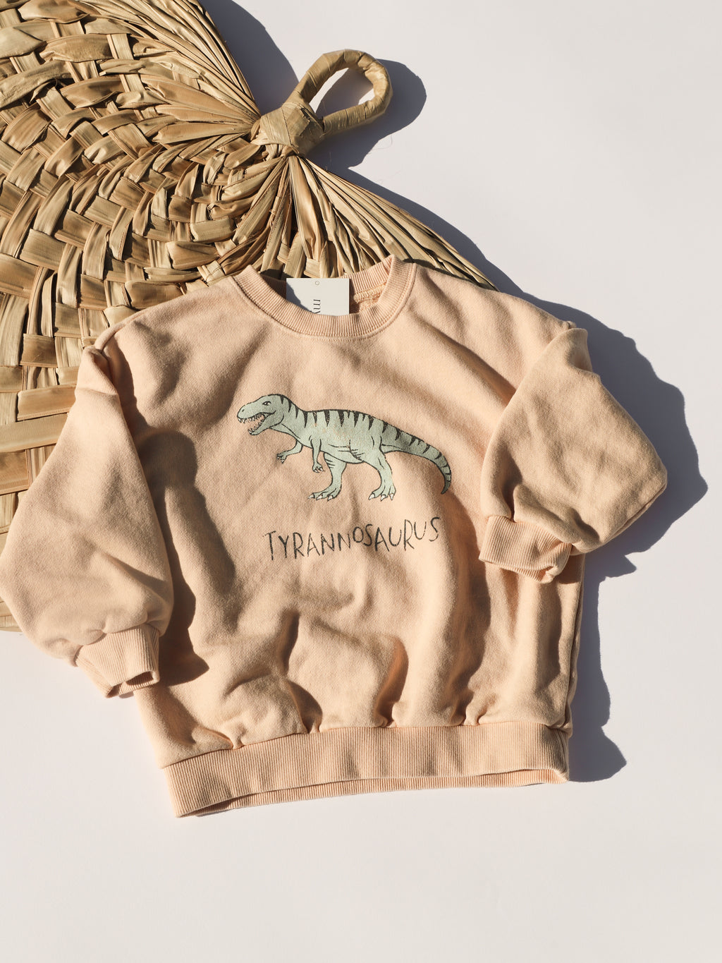 Tyrannosaurus Sweatshirt – My Sun Jax